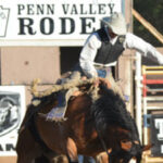 penn valley rodeo image
